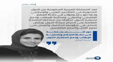 تحرك أمني حازم.. المملكة تقود استراتيجية مكافحة الإرهاب لحماية 7 دول المنطقة